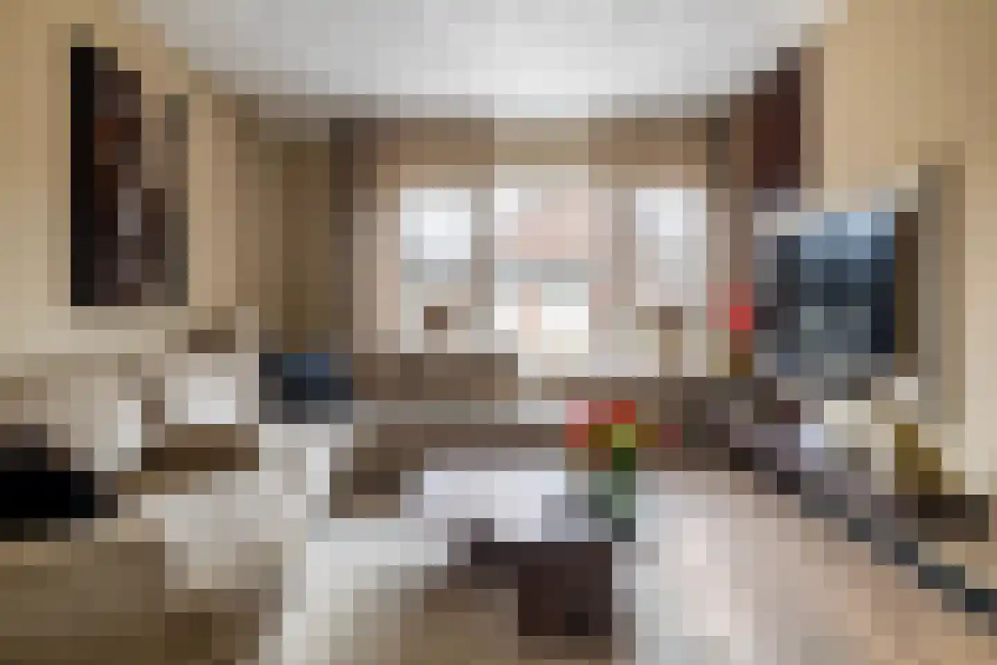 Stelmakershof 5 Nieuw-Dordrecht thumbnail 11
