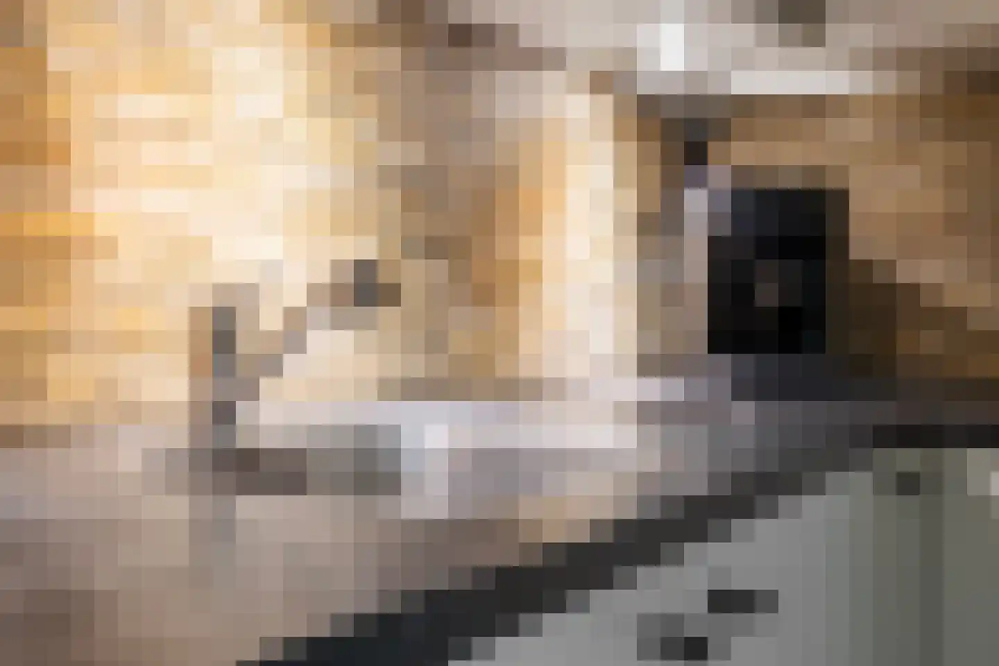 Stelmakershof 5 Nieuw-Dordrecht thumbnail 22