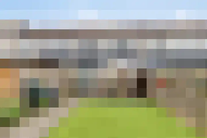 Stelmakershof 6 Nieuw-Dordrecht thumbnail 12