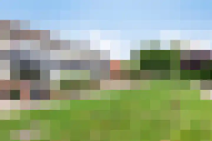 Stelmakershof 6 Nieuw-Dordrecht thumbnail 13