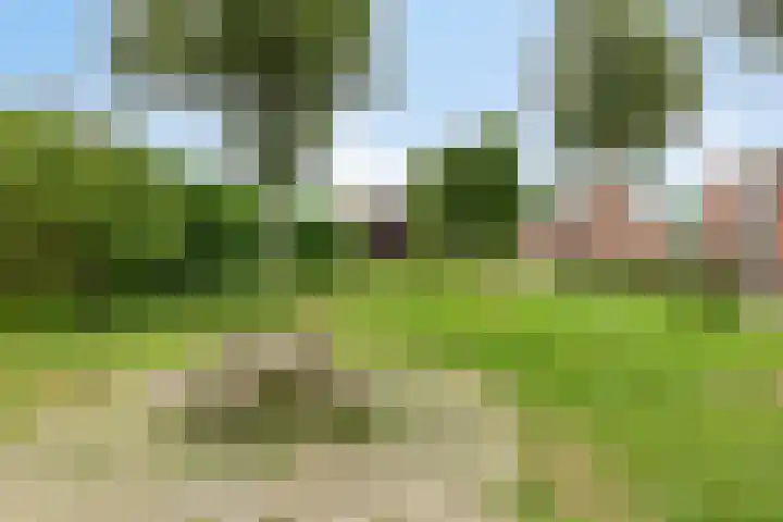 Stelmakershof 6 Nieuw-Dordrecht thumbnail 15