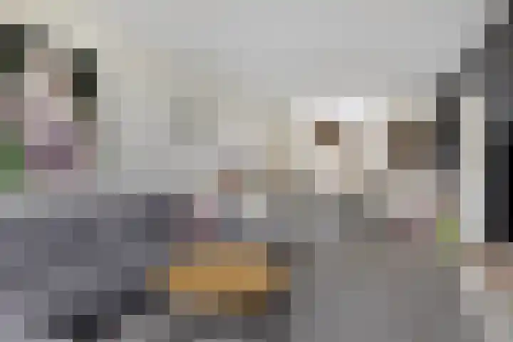 Stelmakershof 6 Nieuw-Dordrecht thumbnail 5
