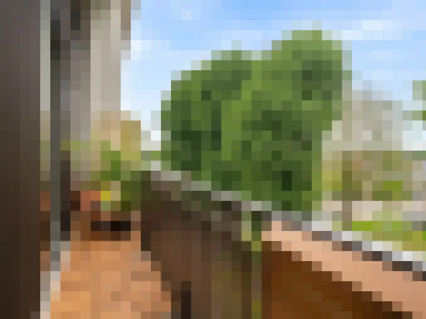 Stelplaats 119 Utrecht thumbnail 4