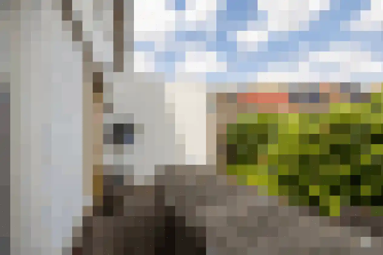 Stelplaats 15 Hengelo thumbnail 40