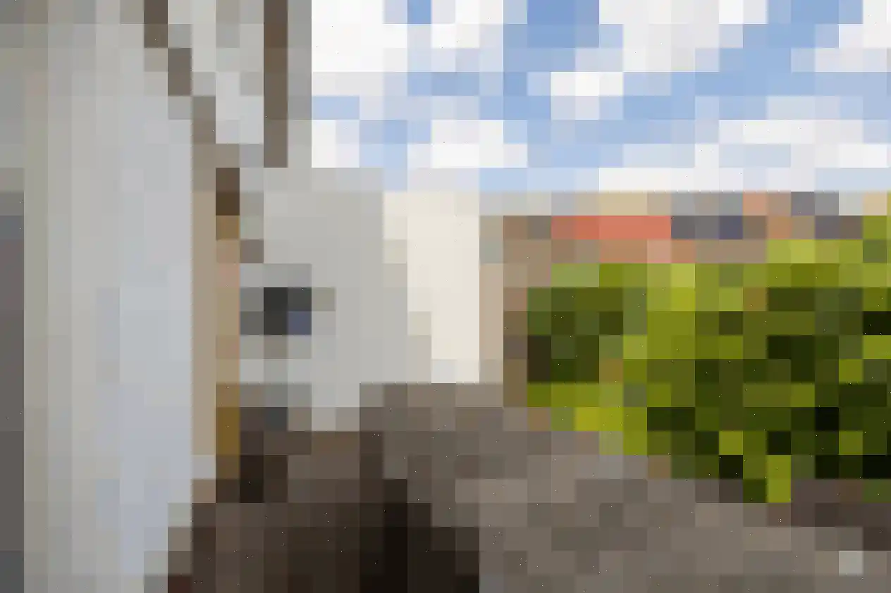 Stelplaats 15 Hengelo thumbnail 40