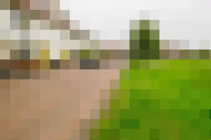 Stelplaats 19 Hengelo thumbnail 43
