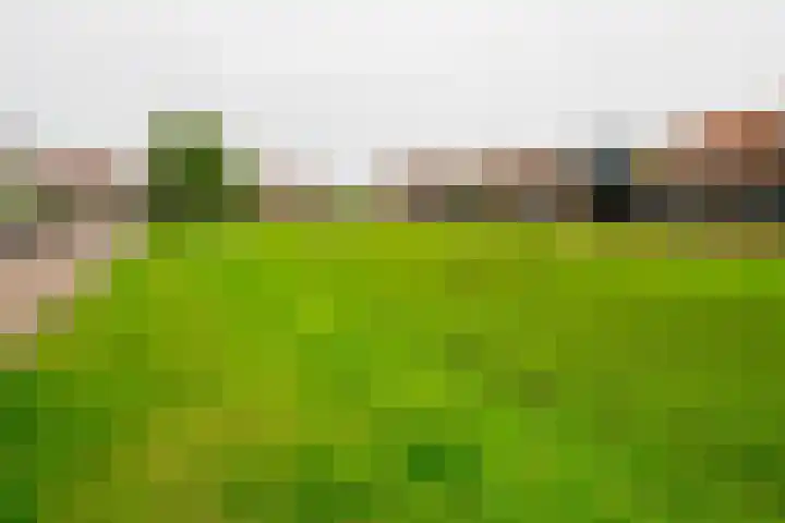 Stelplaats 19 Hengelo thumbnail 44