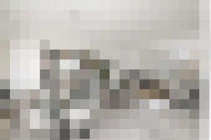 Stelpswyk 101 Drachten thumbnail 12