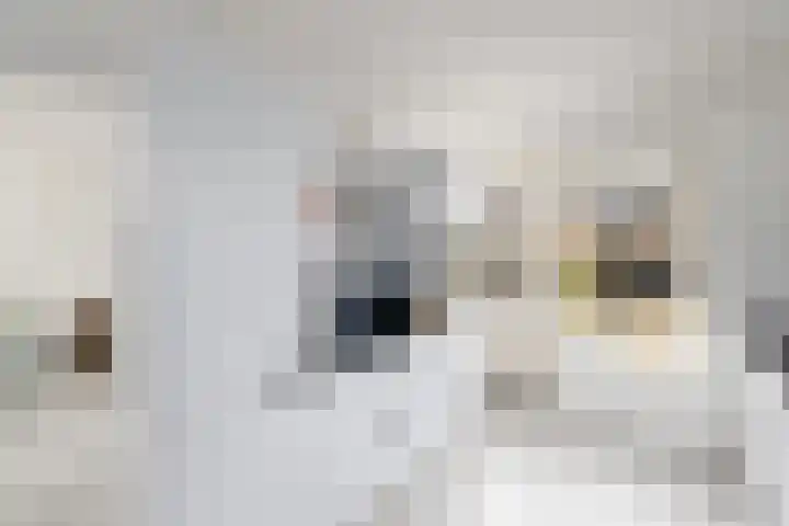 Stelpswyk 101 Drachten thumbnail 14