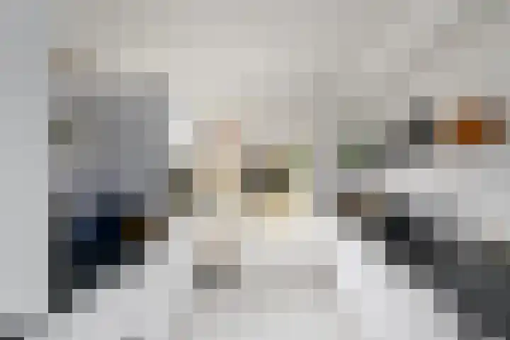 Stelpswyk 101 Drachten thumbnail 15