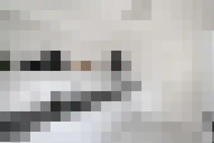 Stelpswyk 101 Drachten thumbnail 17