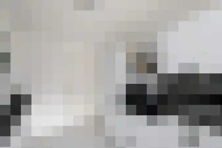 Stelpswyk 101 Drachten thumbnail 18