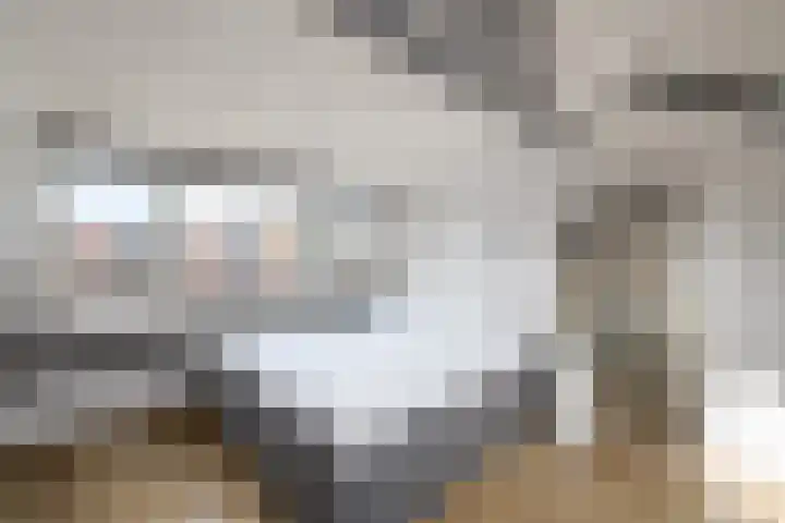 Stelpswyk 101 Drachten thumbnail 31