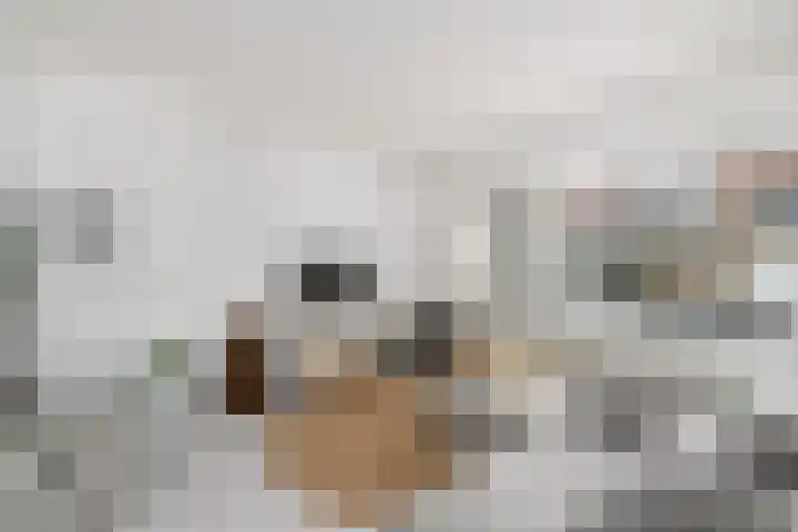 Stelpswyk 101 Drachten thumbnail 6