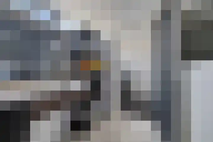 Stelpswyk 4 Drachten thumbnail 25