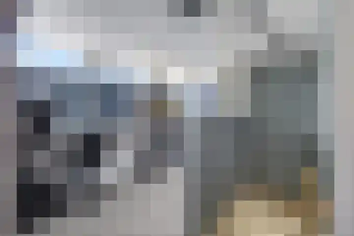 Stelpswyk 4 Drachten thumbnail 26