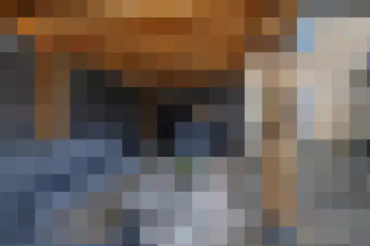 Stelpswyk 4 Drachten thumbnail 28