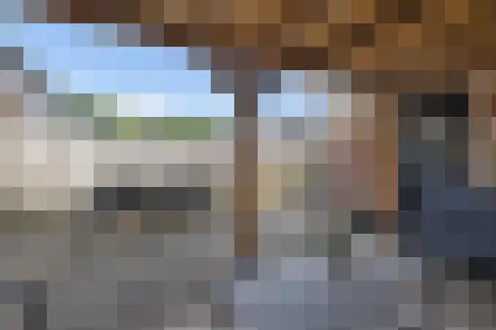Stelpswyk 4 Drachten thumbnail 29