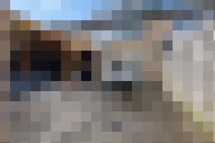 Stelpswyk 4 Drachten thumbnail 30