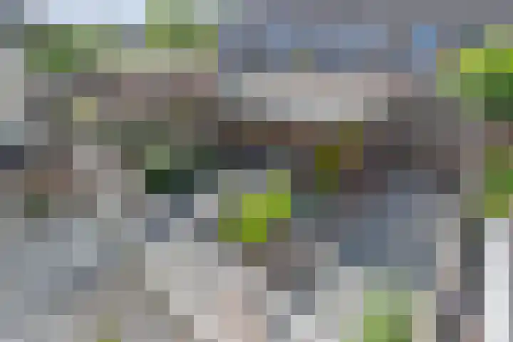 Stelpswyk 7 Drachten thumbnail 27