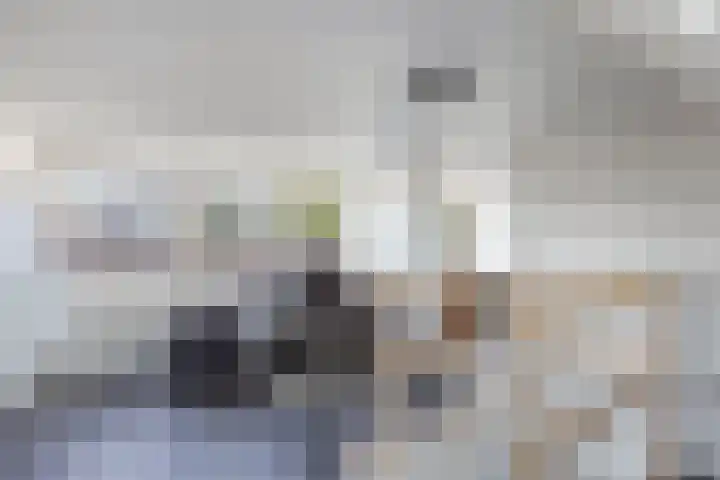 Stelpswyk 7 Drachten thumbnail 28