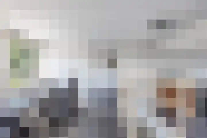 Stelpswyk 7 Drachten thumbnail 29