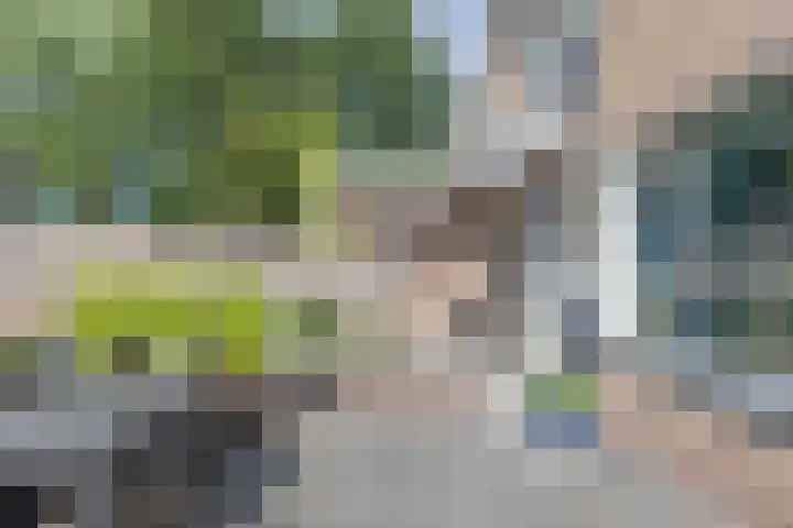 Stelpswyk 7 Drachten thumbnail 33
