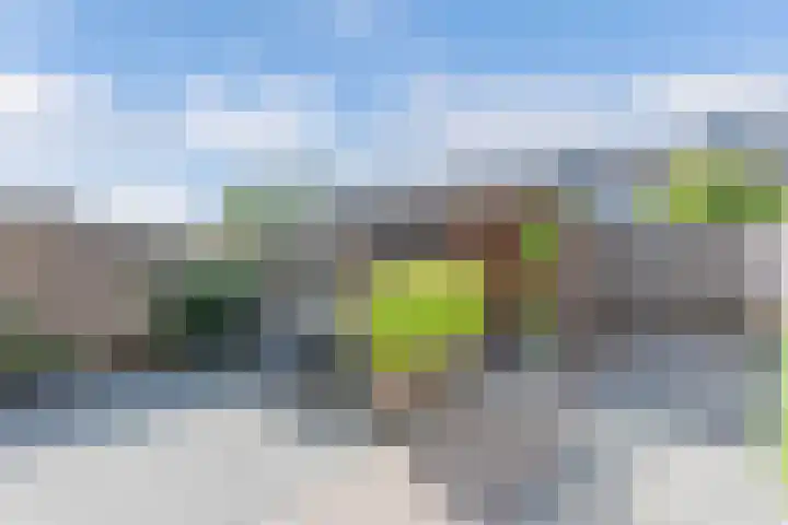 Stelpswyk 7 Drachten thumbnail 35