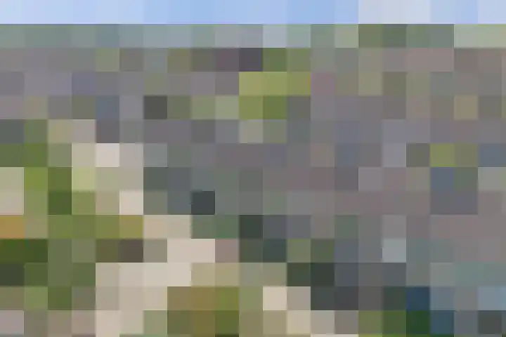 Stelpswyk 7 Drachten thumbnail 41