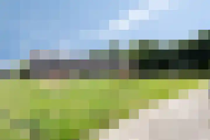 Stelpswyk 89 Drachten thumbnail 27
