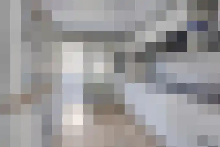 Stelpswyk 89 Drachten thumbnail 8