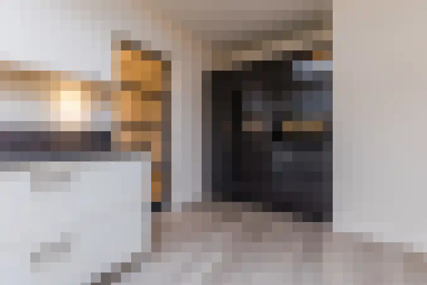 Stelt 21 Eersel thumbnail 23