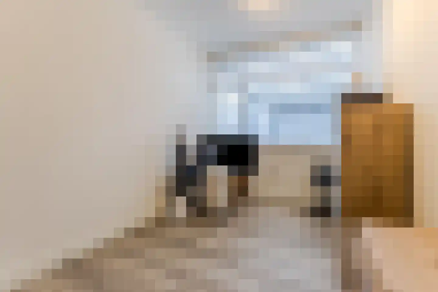 Stelt 21 Eersel thumbnail 29