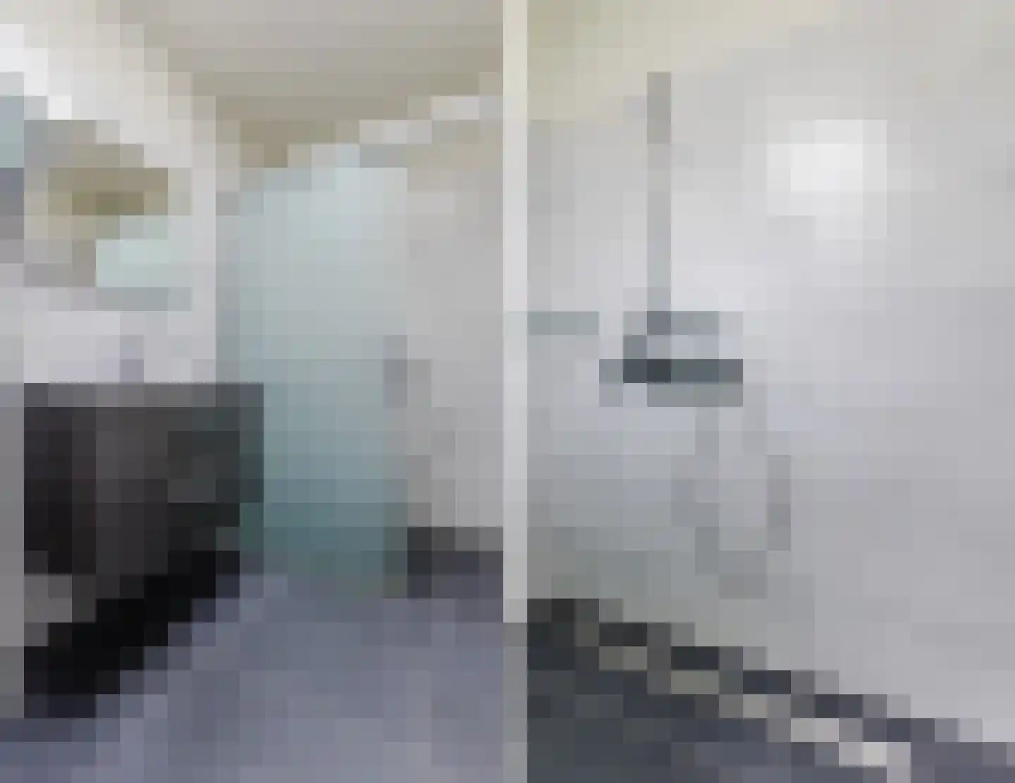 Stelt 21 Eersel thumbnail 38