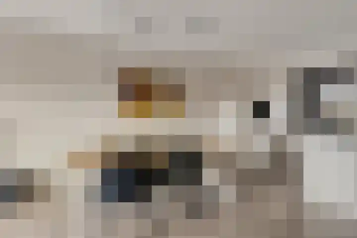 Steltacker 26 Goirle thumbnail 11