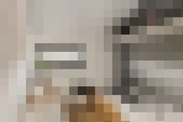 Steltacker 26 Goirle thumbnail 24