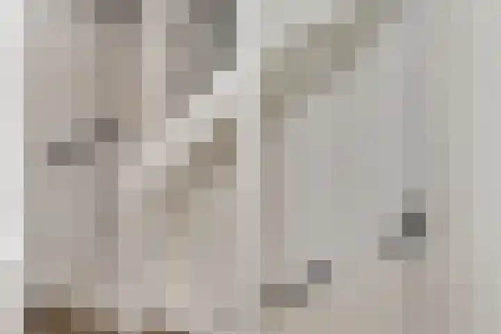 Steltacker 26 Goirle thumbnail 25