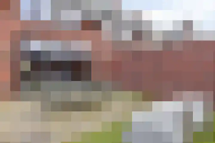 Steltacker 26 Goirle thumbnail 31