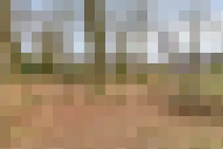 Steltacker 26 Goirle thumbnail 42