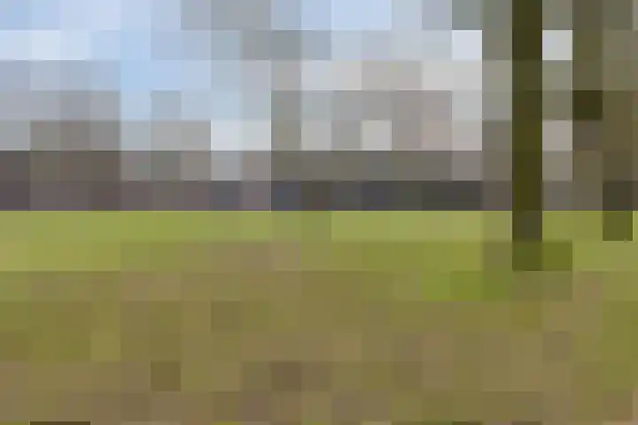 Steltacker 26 Goirle thumbnail 44