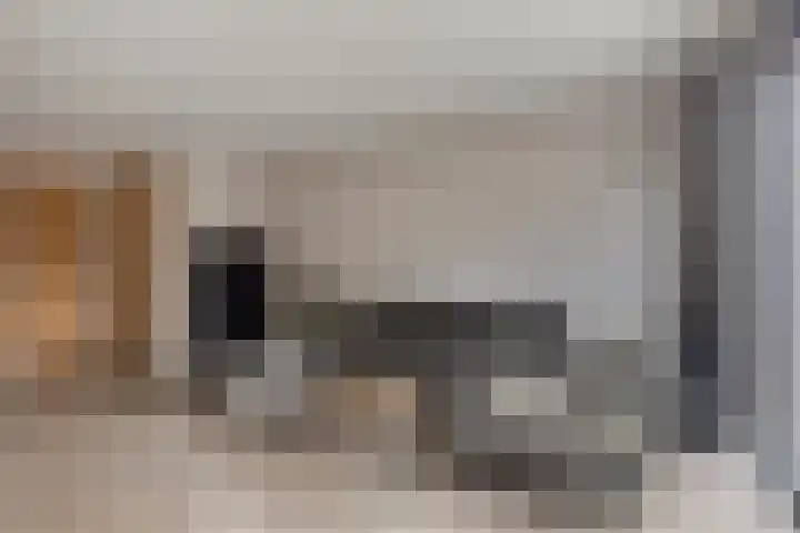 Steltacker 26 Goirle thumbnail 9