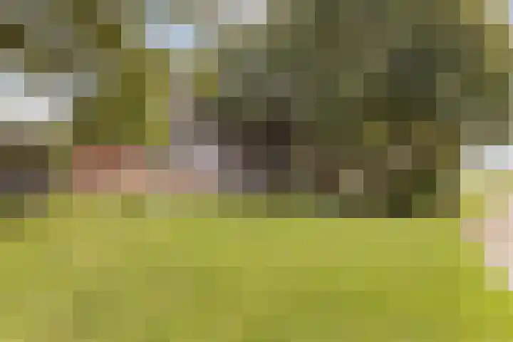 Stelterweg 26 in Godlinze