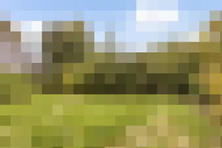 Stelterweg 26 Godlinze thumbnail 15