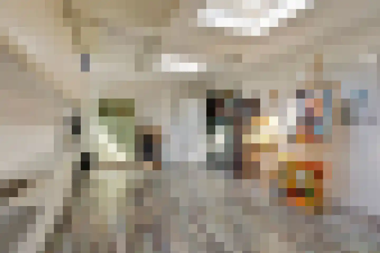 Steltlopen 19 Best thumbnail 21
