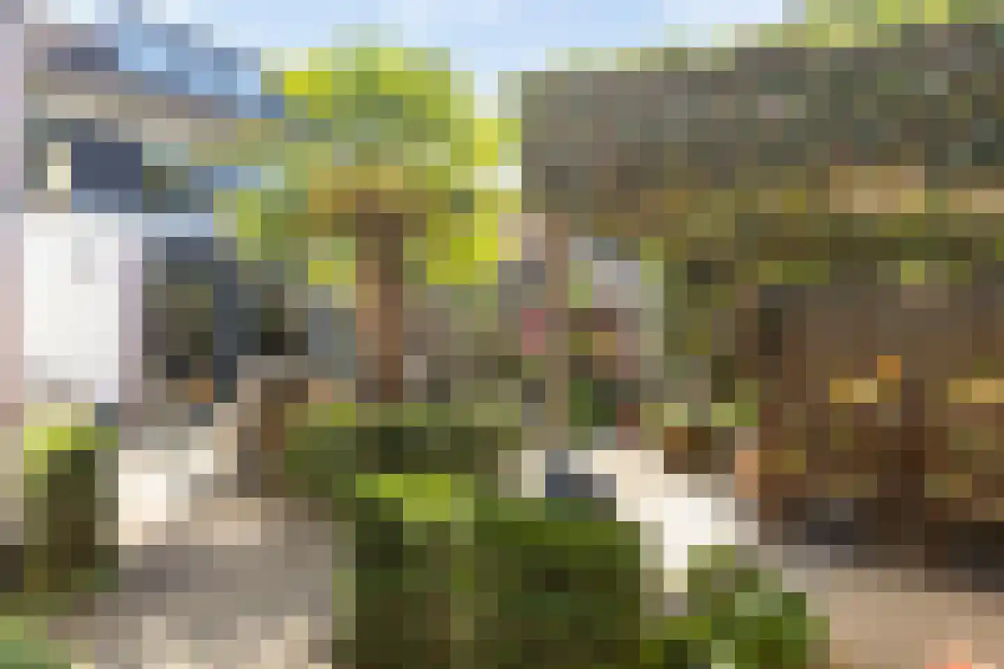 Steltlopen 19 Best thumbnail 36