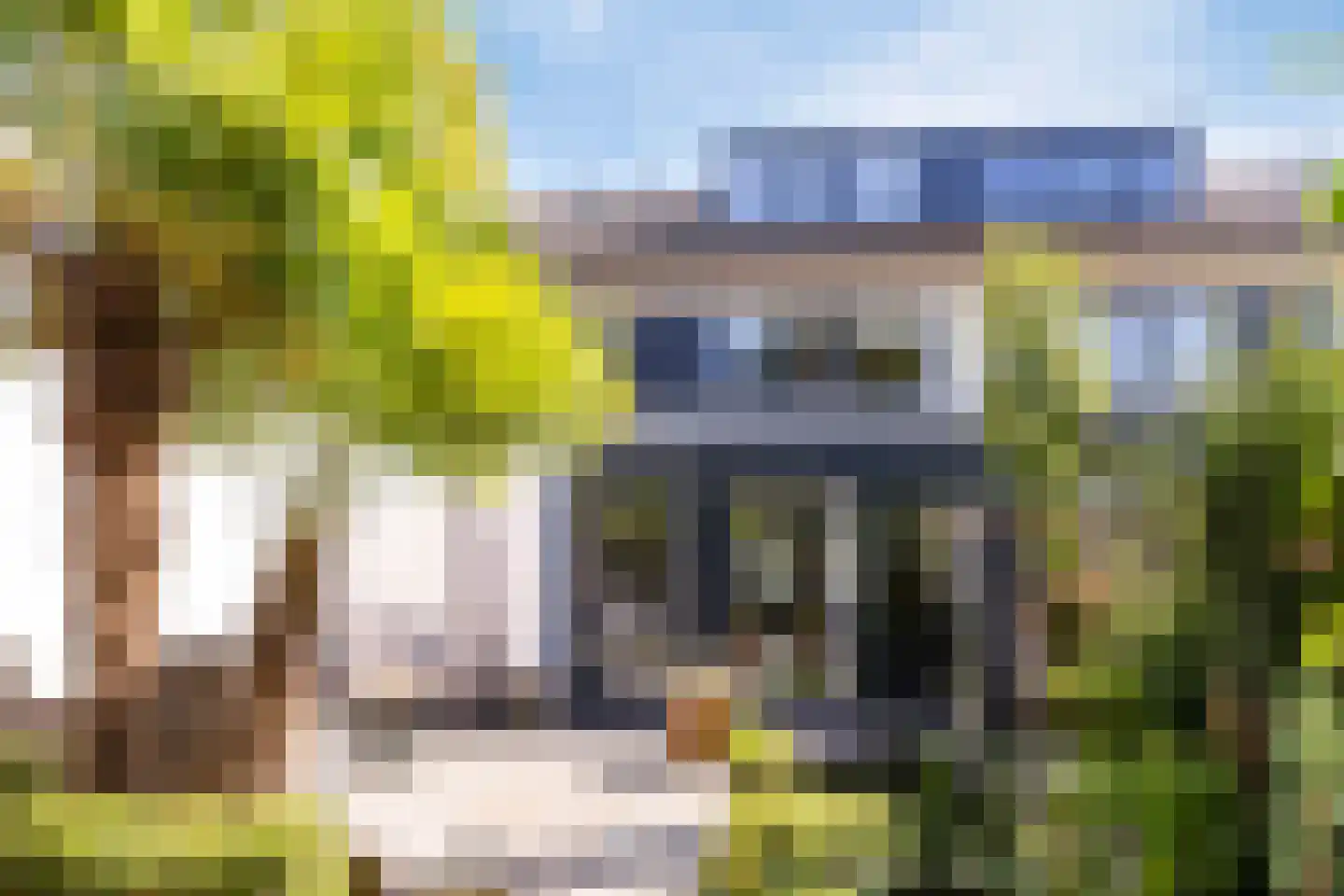 Steltlopen 19 Best thumbnail 37