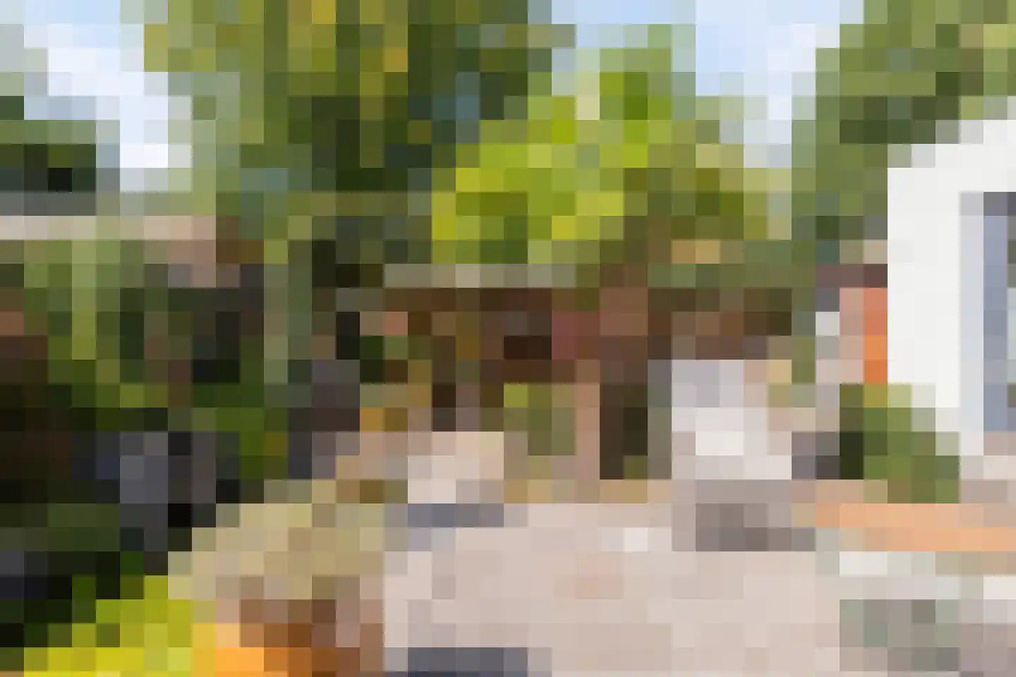 Steltlopen 19 Best thumbnail 38