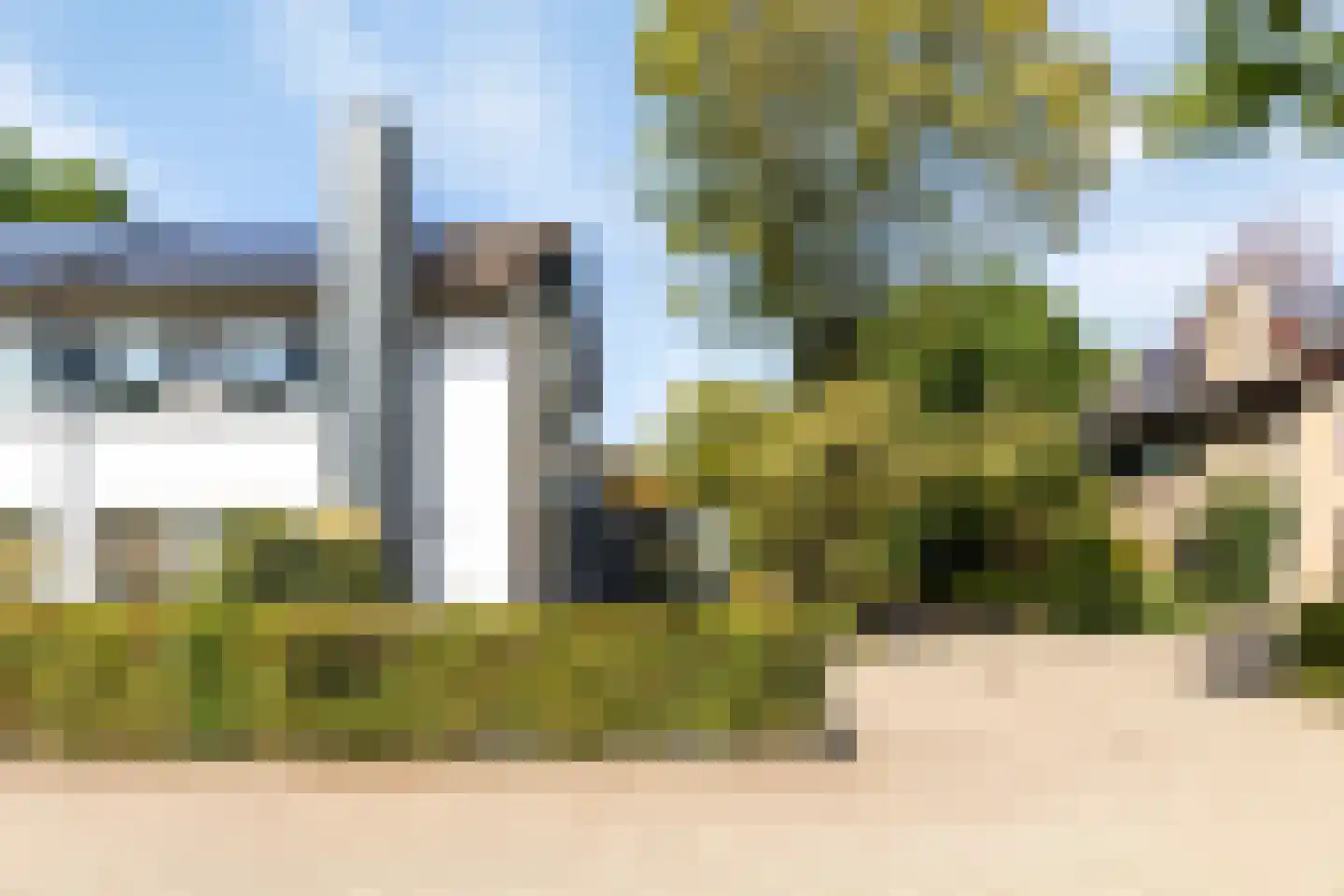 Steltlopen 19 Best thumbnail 4