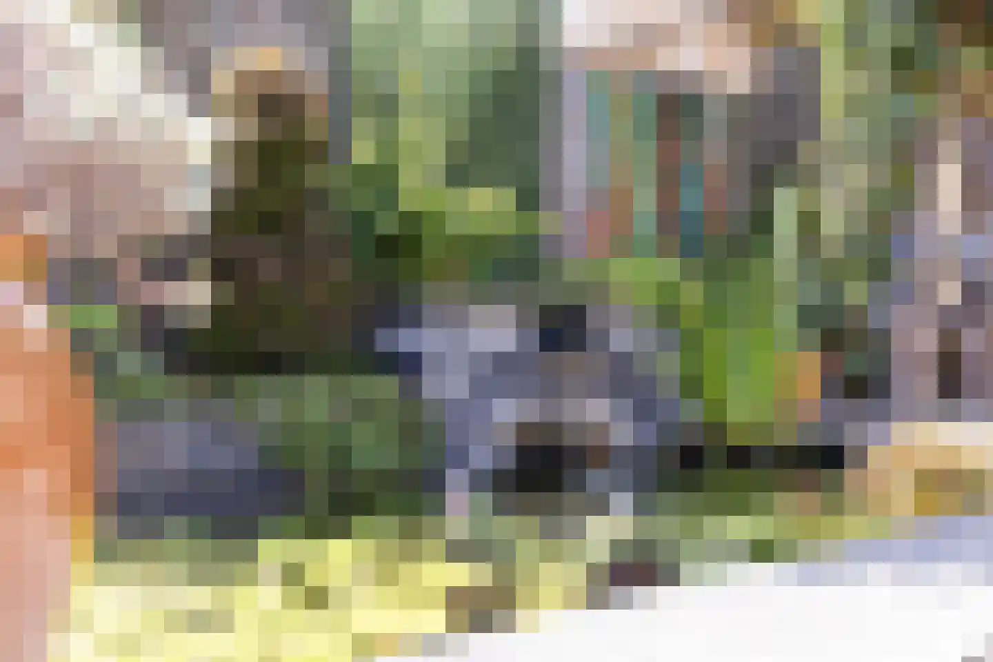 Steltlopen 19 Best thumbnail 41