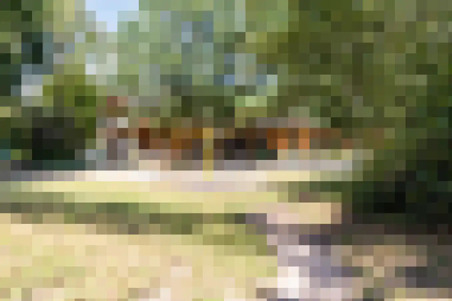Steltlopen 19 Best thumbnail 43